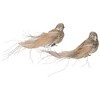 Northlight Glittered Birds Clip-On Christmas Ornaments - 7.5" - Gold - Set of 2 - 4 of 4