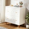 Gulches LITTLE TREE 2-Drawer File Cabinet, Under Desk Office Storage Cabinet for Letter Size File Folders with Tabs, Printer Stand - 3 of 4