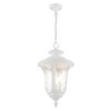Livex Lighting Oxford 3 - Light Pendant in  Textured White - 2 of 4