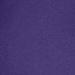 midnight violet