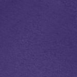 midnight violet