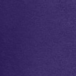 midnight violet