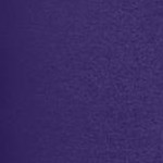 midnight violet