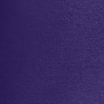 midnight violet