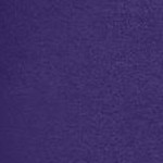 midnight violet