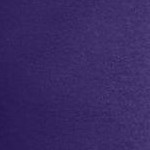 midnight violet