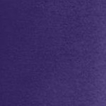 midnight violet