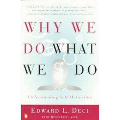 Why We Do What We Do - by  Edward L Deci & Richard Flaste (Paperback)