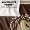 Southwest Minnesota State University Primary Logo Stripes Silky 50x60 Blanket, 1 Sided - 4 of 4