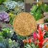 Soil Sunrise Horticultural Grade Rice Hulls; for House Plants and Chicken Bedding - 3 of 4