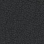 san jose earthquakes