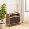 Magnolia Record Player Stand with Storage Walnut/Black - Novogratz - 2 of 4