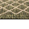Liora Manne Carmel  Indoor/Outdoor Rug  Green.. - 3 of 4