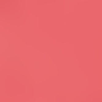 orange-hibiscusbloom