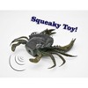 Collectible Wildlife Gifts | Crab, Mud Crab, With Squeak, Squeakee, Rubber, Crustacean Design, Hand Painted, Model,  Gift       7"      F1765 B107 - 3 of 4