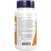 Chlorophyll 100mg by Now Foods  -  90 Capsule - 3 of 3