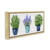 Stupell Industries Varied Potted Plants & Herbs, 25" x 11" - 3 of 4