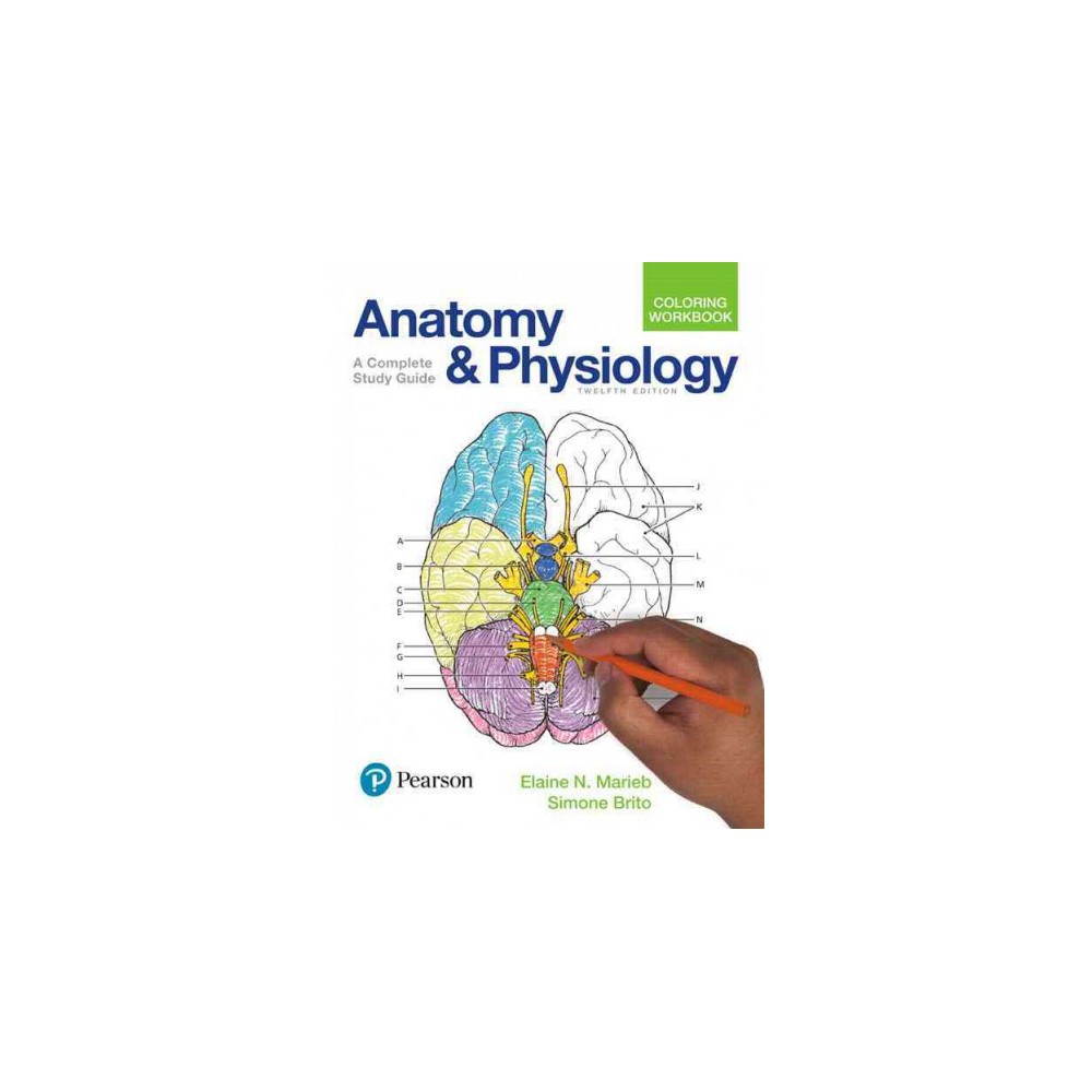 ISBN 9780134459363 product image for Anatomy and Physiology Coloring Workbook : A Complete Study Guide (Paperback) (E | upcitemdb.com