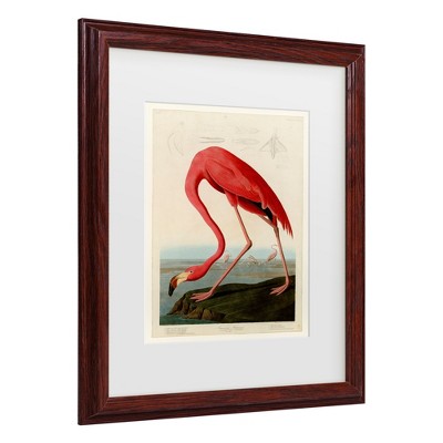 Trademark Fine Art -john James Audobon 'american Flamingo' Matted ...