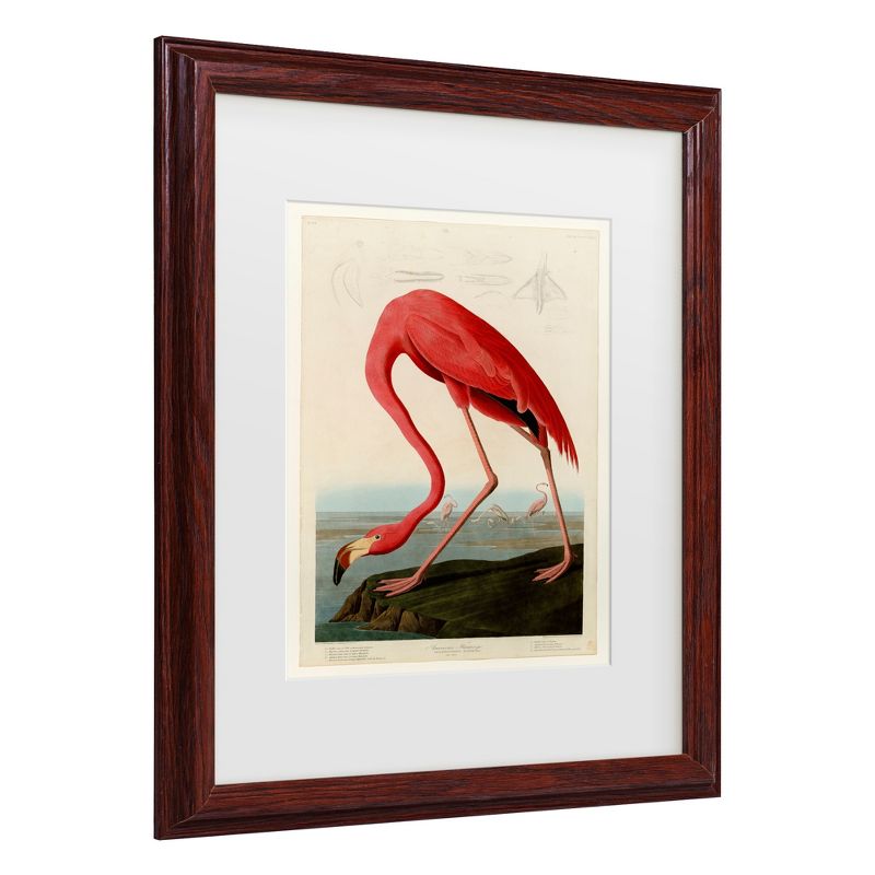 American Flamingo Print on Canvas with Brown Frame