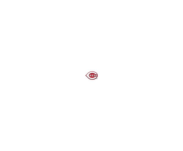 MLB Cincinnati Reds 500pc Find Joe Journeyman Puzzle