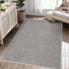 Machine Washable Area Rug 5x7 for Living Room Modern Minimalist Solid Carpet Non-Slip Low Pile Contemporary - 2 of 4