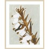 Amanti Art Naive Floral Silhouette II by Cartissi Wood Framed Wall Art Print - 4 of 4