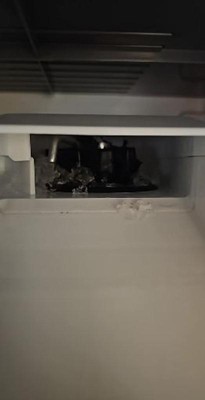 Guest review image 1 of 3, zoom in