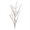 Birch Twig Branch (Set of 6) - 2 of 2