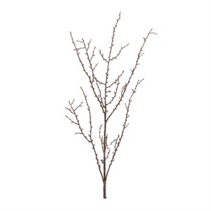 Birch Twig Branch (Set of 6) - 1 of 4
