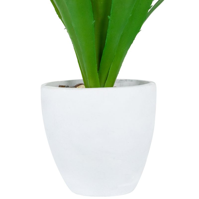 Northlight 13.5" Agave Succulent Artificial Potted Plant - Green/White, 5 of 7