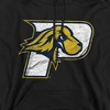 Men's Pace University Distressed Primary Logo Pull-Over Hoodie - 2 of 4