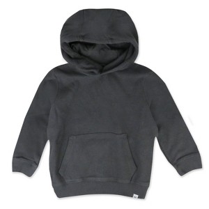 Honest Baby Comfy Hoodie Sweatshirt for Toddlers - 1 of 4