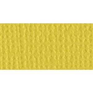 Bazzill Mono Cardstock 12"X12" - 1 of 1