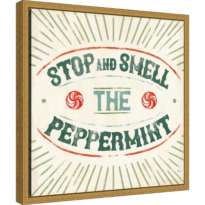 Amanti Art Holiday Likeness IX (Peppermint) by Veronique Charron Canvas Wall Art Print Framed 16 x 16-in.