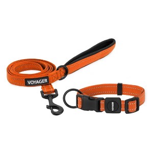 Voyager Adjustable Nylon Collar and Leash Combo for Dogs and Cats - 1 of 4