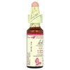 Bach Original Flower Remedies, Elm, 0.35 fl oz (10 ml) - 4 of 4