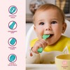 Silicone Baby Spoons First Stage Baby Feeding Spoons Stage 1 and Stage 2-4pcs - 2 of 4