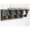 Progress Lighting Rushton 4-Light Bath Vanity in Graphite with Clear Glass Shades - 4 of 4