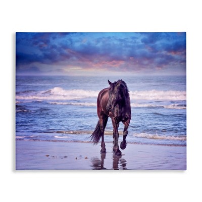 Stupell Industries Wild Horse on Beach Colorful Blue Sunset