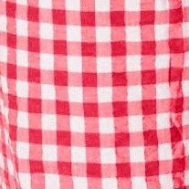 vivid red gingham