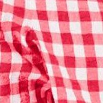 vivid red gingham