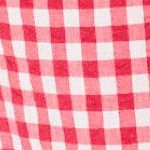 vivid red gingham