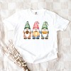 Simply Sage Market Fall Three Gnomes Garment Dyed Tee - 3 of 4