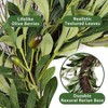 Artificial Olive Garland with Greenery Leaves Faux Olive Wreath Front Door Farmhouse Wall Decor Hanging Green Wreath - 3 of 4