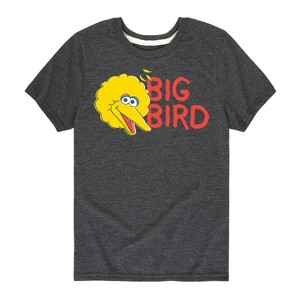 Boys' - Sesame Street - Big Bird Short Sleeve Graphic T-Shirt - 1 of 4