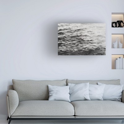 Trademark Fine Art - Michael Willett  Surface Water I Canvas Art - 47 x 30