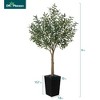 DR.Planzen 5-8FT Adjustable Artificial Olive Tree - UV Resistant Fake Plant in 15.7-22.7" Tall Planter (B/W/Coffee) for Indoor/Outdoor - 3 of 4