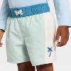 Toddler Boys' Colorblock Palm Tree Board Short Swim Trunks - Cat & Jack™ Green - 3 of 3