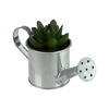 Northlight 4" X Pachyveria Succulent in Water Can Artificial Potted Plant - Green/Silver - image 2 of 3